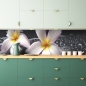 Mobile Preview: Küchenrückwand Blume Spa
