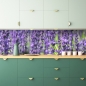 Preview: Küchenrückwand Lavendelfeld