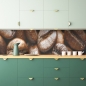 Mobile Preview: Küchenrückwand Braune Kaffeebohnen