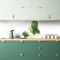 Preview: Küchenrückwand Grüne Limette
