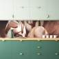 Mobile Preview: Küchenrückwand Schoko Pralinen