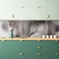 Mobile Preview: Küchenrückwand Schlafende Katze