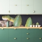 Mobile Preview: Küchenrückwand Grüne Schlange
