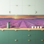 Preview: Küchenrückwand Sonne Lavendelfeld