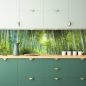 Mobile Preview: Küchenrückwand Bambuswald