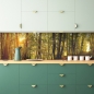 Mobile Preview: Küchenrückwand Sonnenlicht Wald