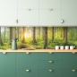 Preview: Küchenrückwand Sonne Natur Wald