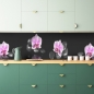 Preview: Küchenrückwand Zen Steine Orchidee