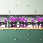 Preview: Küchenrückwand Spa Orchideen