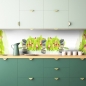 Preview: Küchenrückwand Grüne Orchideen Spa