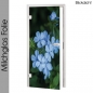 Preview: glastür folie blickdicht Blaue Blumen Maßanfertigung