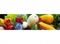 Preview: Küchenrückwand Frisches Gemüse