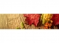 Preview: Küchenrückwand Herbstdeko
