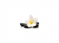 Preview: Küchenrückwand Zen Stein Plumeria Blume