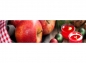 Preview: Küchenrückwand Apfel Deko