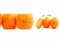 Mobile Preview: Küchenrückwand Frische Orangen
