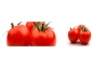 Mobile Preview: Küchenrückwand Frucht Tomaten