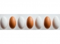 Preview: Küchenrückwand Braun Weiße Eier