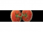 Preview: Küchenrückwand Zwei Tomaten