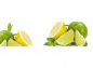 Preview: Küchenrückwand Zitrone Limette