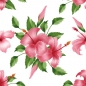 Preview: Küchenrückwand Tropische Hibiskus Blume