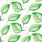 Preview: Küchenrückwand Natur Blätter