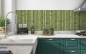 Preview: Küchenrückwand Grüner Bambus