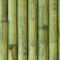 Preview: Küchenrückwand Bamboo