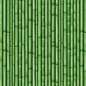 Preview: Küchenrückwand Grüne Bambusstäbe