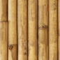Preview: Spritzschutz Küche Bamboo Bark