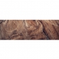 Preview: Spritzschutz Küche Holz Massiv