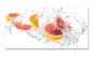 Preview: Spritzschutz Küche Grapefruit Splash