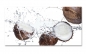 Preview: Spritzschutz Küche Kokosnuss Splash