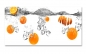 Preview: Spritzschutz Küche Orangen Eiswürfel