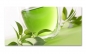 Preview: Spritzschutz Küche Grün Tee