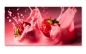 Preview: Spritzschutz Küche Rote Erdbeeren