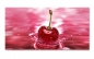 Preview: Spritzschutz Küche Red Cherry