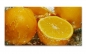 Preview: Spritzschutz Küche Orangen