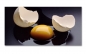 Preview: Spritzschutz Küche Zerbrochener Ei