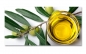 Preview: Spritzschutz Küche Olivenöl