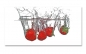 Preview: Spritzschutz Küche Erdbeeren Fresh