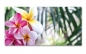 Preview: Spritzschutz Küche Tropische Blume