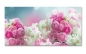 Preview: Spritzschutz Küche Blumenbukett