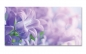 Preview: Spritzschutz Küche Lila Blumen