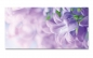 Preview: Spritzschutz Küche Lila Blumen