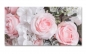 Preview: Spritzschutz Küche Rosa Weiß Rosen