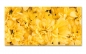 Preview: Spritzschutz Küche Gelbe Blumen