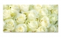 Preview: Spritzschutz Küche Weiße Rosen