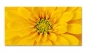Preview: Spritzschutz Küche Gelbe Blume