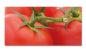 Preview: Spritzschutz Küche Tomaten